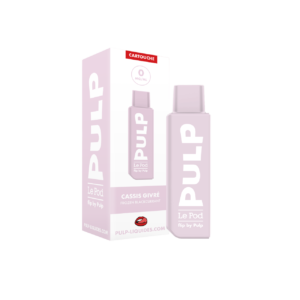 Cartouche Cassis Givré Le Pod Flip Pulp