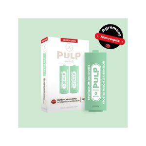 Cartouche Pastèque Melon Givrés Le Pod Switch Pulp