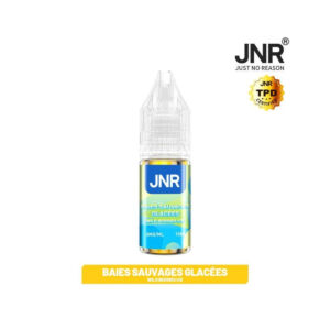 E-liquide Wild Berries Ice JNR sel de nicotine 10 ml