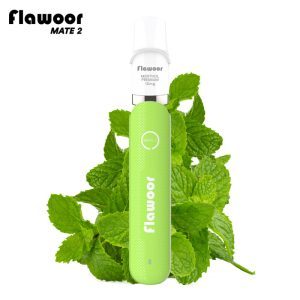 flawoor mate 2 kit menthol premium