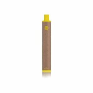 Cigarette éléctronique jetable puff ananas glacé de Dotmod pas cher