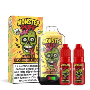 Puff rechargeable Ananas Passion Melon Ice Monster 28K Monster Puff