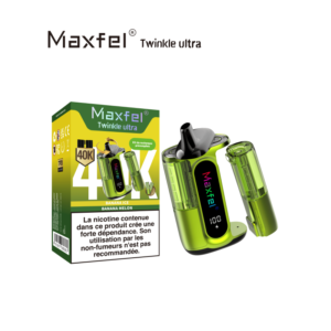 Puff rechargeable Banana Ice + Banana Melon Twinkle Ultra 40K Maxfel