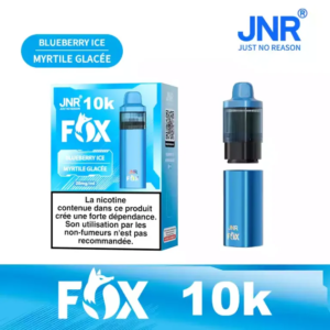 Puff remplissable Blueberry Ice Fox JNR