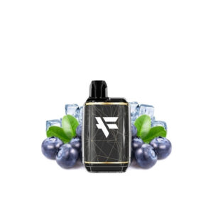 Puff rechargeable Blueberry Ice Fuyl Dinner Lady