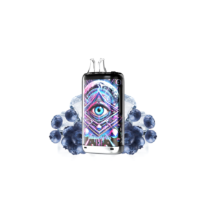 Puff remplissable Blueberry Ice Kong Max 30K Gobar