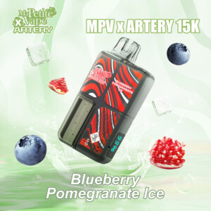Puff rechargeable Blueberry Pomegranate Ice MPV x Artery 15000 Ma Petite Vape