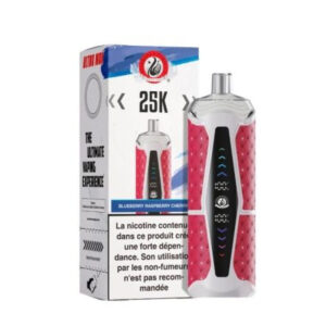 Puff rechargeable Blueberry Raspberry Ultra Max Starbuzz
