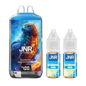 Puff remplissable Blueberry Sour Raspberry Falcon-X JNR