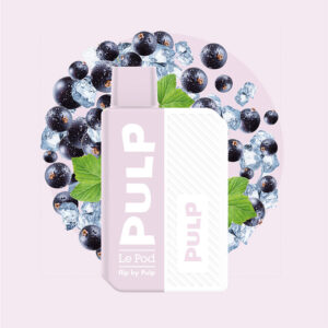 Puff rechargeable Cassis Givré Le Pod Flip Pulp