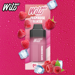 Puff remplissable Framboise Glacée Max Wilo