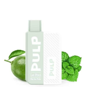 Puff rechargeable Fruits Rouges Glacés Le Pod Flip Pulp