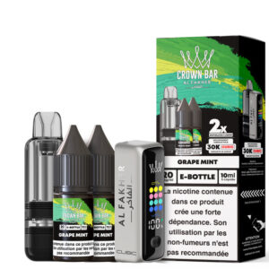 Puff remplissable Grape Mint Cubic 30K Al Fakher