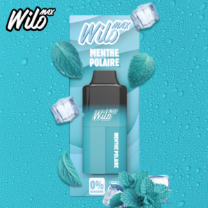 Puff remplissable Menthe Polaire Max Wilo