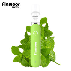 Puff rechargeable Menthol Premium Mate 2 Flawoor
