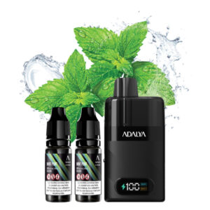 Puff remplissable Mint Point Levo 30K Adalya