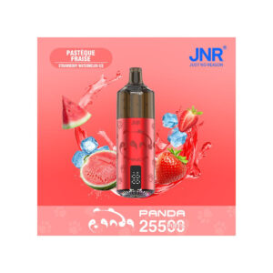 Puff remplissable Pastèque Fraise Panda JNR