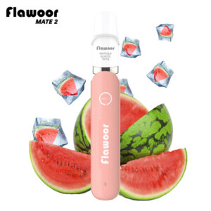 Puff rechargeable Pastèque Glacée Mate 2 Flawoor