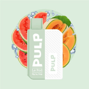 Puff rechargeable Pastèque Melon Givrés Le Pod Flip Pulp