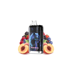 Puff remplissable Peach Berry Kong Max 30K Gobar