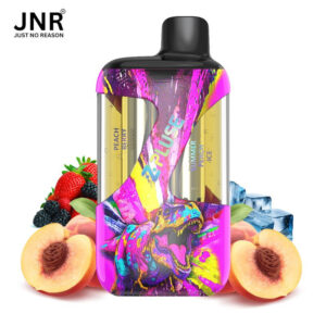 Puff remplissable Peach Berry + Summer Peach Ice Zpluse JNR