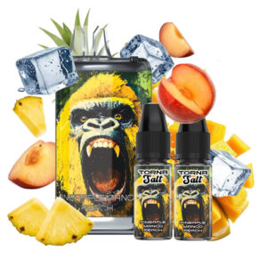 Puff remplissable Pineapple Mango Peach Torna Max Torna-Bar