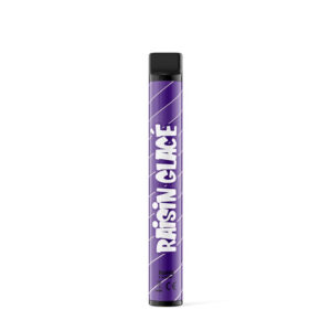 Puff rechargeable Raisin Glacé WPUFF 600 Liquideo