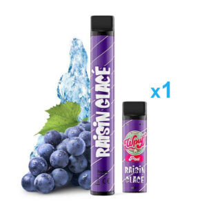 Puff rechargeable Raisin Glacée WPUFF 600 Liquideo