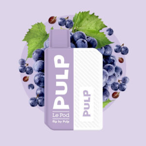 Puff rechargeable Raisin Noir Le Pod Flip Pulp