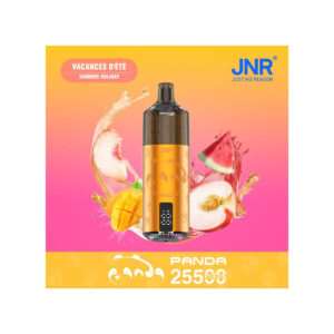 Puff remplissable Vacances D'été Panda JNR