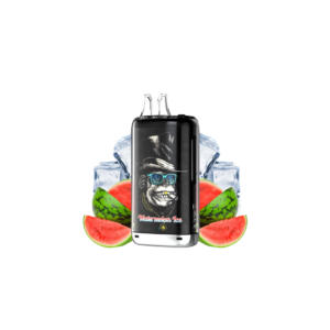 Puff remplissable Watermelon Ice Kong Max 30K Gobar