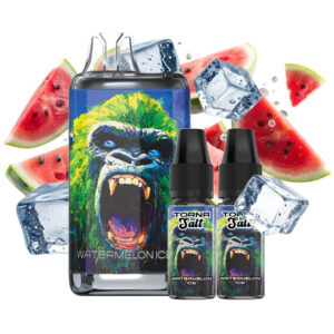 Puff remplissable Watermelon Ice Torna Max Torna-Bar