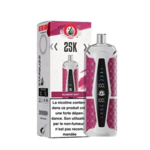 Puff rechargeable Wildberry Mint Ultra Max Starbuzz